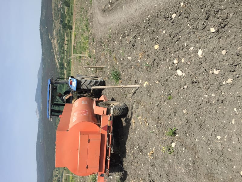 Bahçemizden Kareler