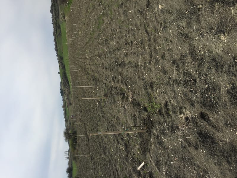 Bahçemizden Kareler