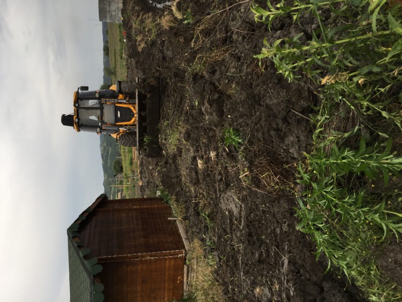 Bahçemizden Kareler