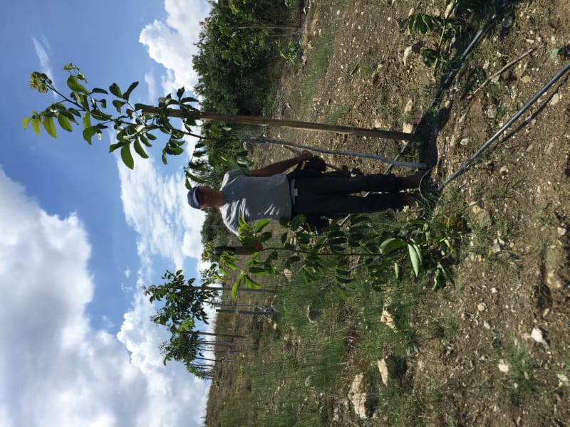 Bahçemizden Kareler